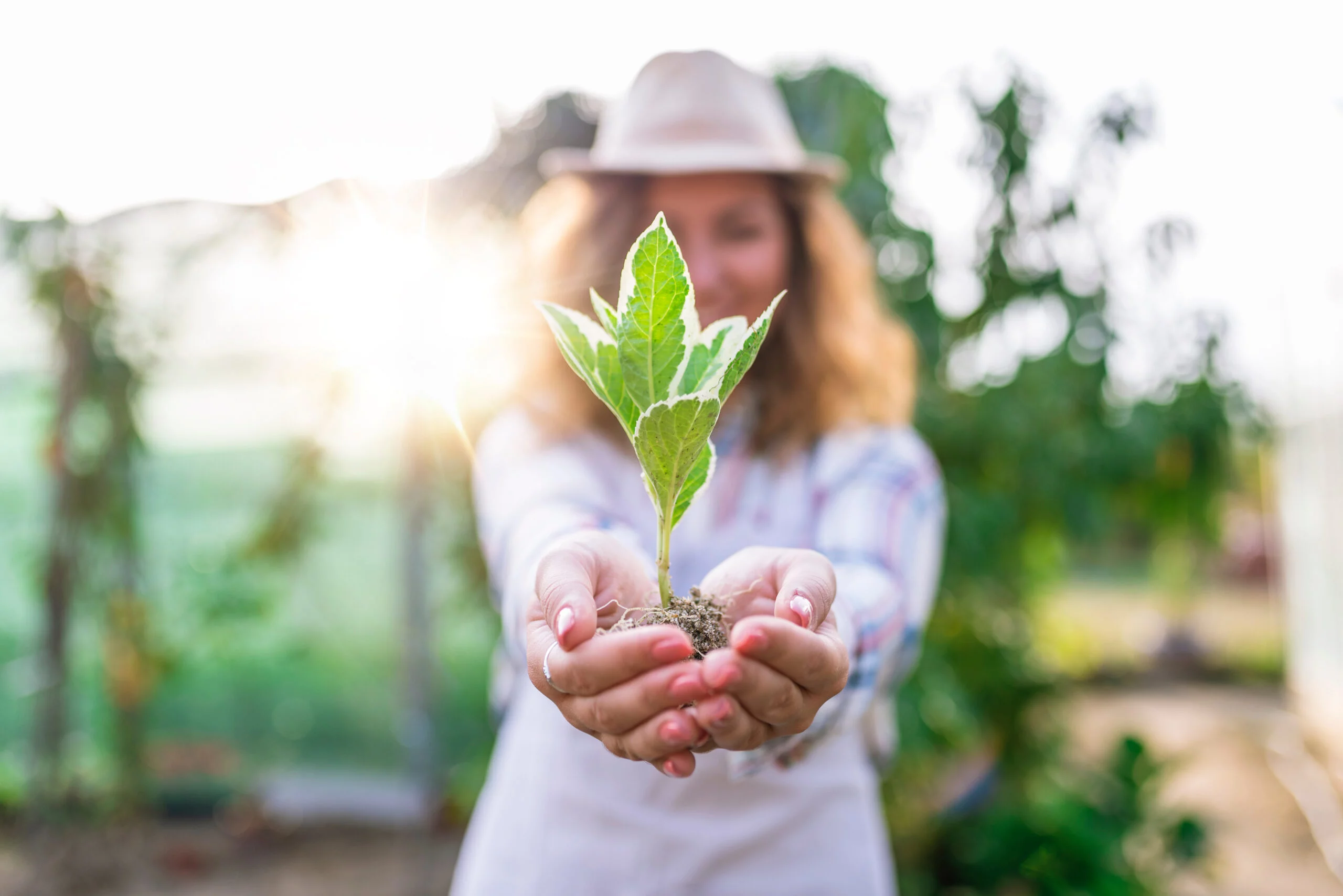 Educação Ambiental